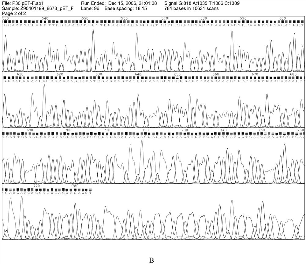 Kit and detection method capable of synchronously detecting African swine fever virus antigens and antibodies in swine blood