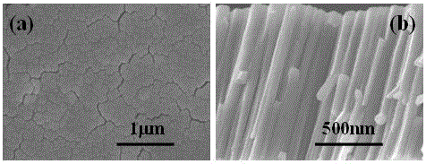 Method for preparing ag nanowire array electrodes by magnetron sputtering-mask-assisted deposition