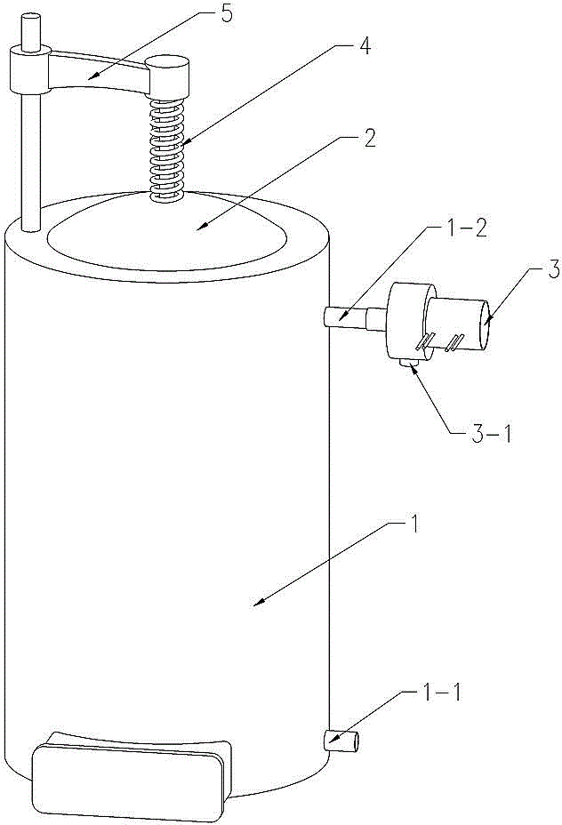 Animal carcass gasifying incinerator and treatment process thereof