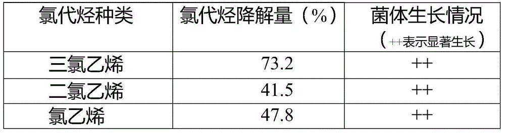 Cupriavidus sp.SWA1 capable of degrading chlorinated olefin and application thereof