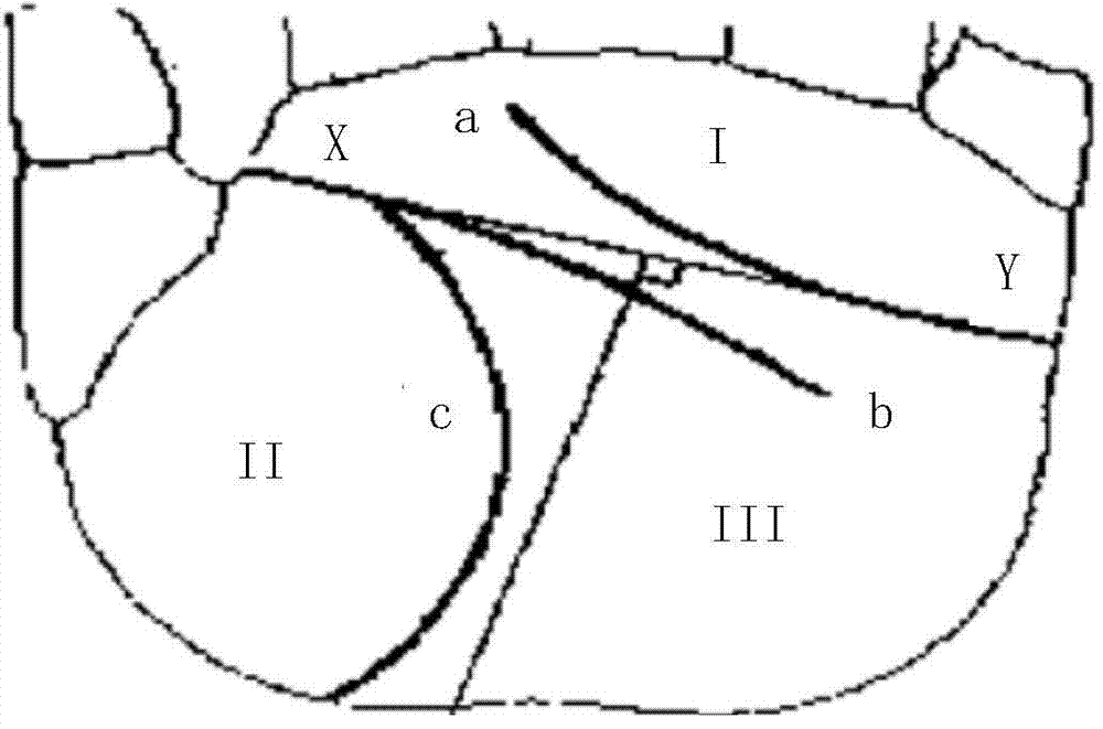 Mobile equipment, system and method for carrying out banking business transaction on the basis of palmprint recognition