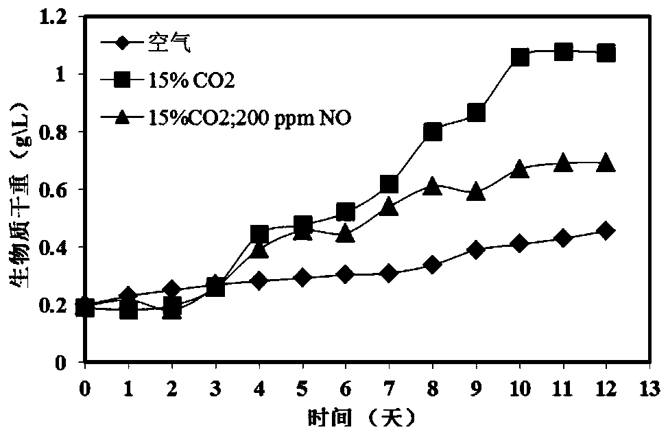 A high-yielding Scenedesmus sdec-13 and its cultivation method and application