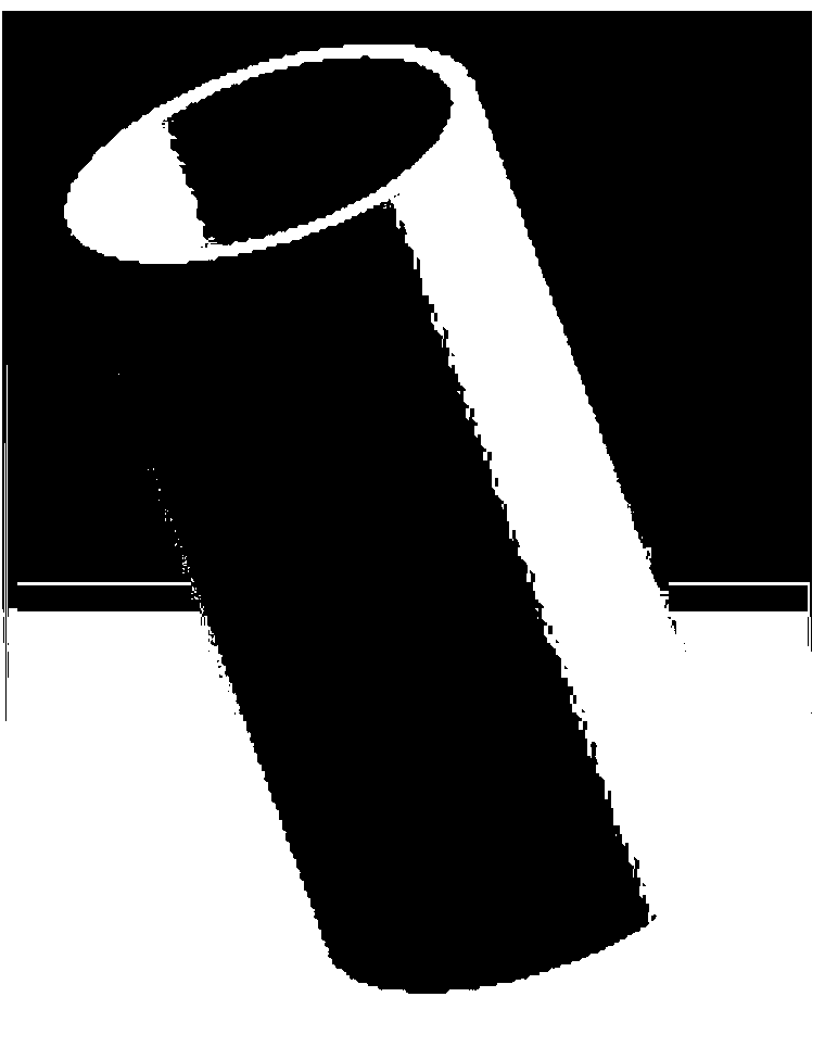 Nnano-silver diatomite antibacterial filter core and preparation method thereof