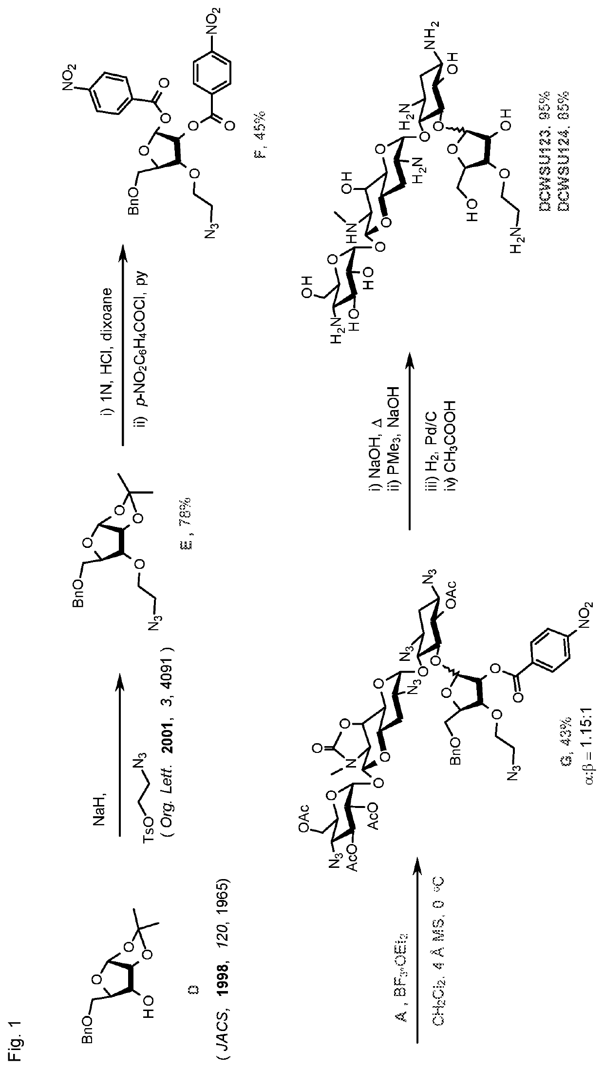 Apramycin derivatives