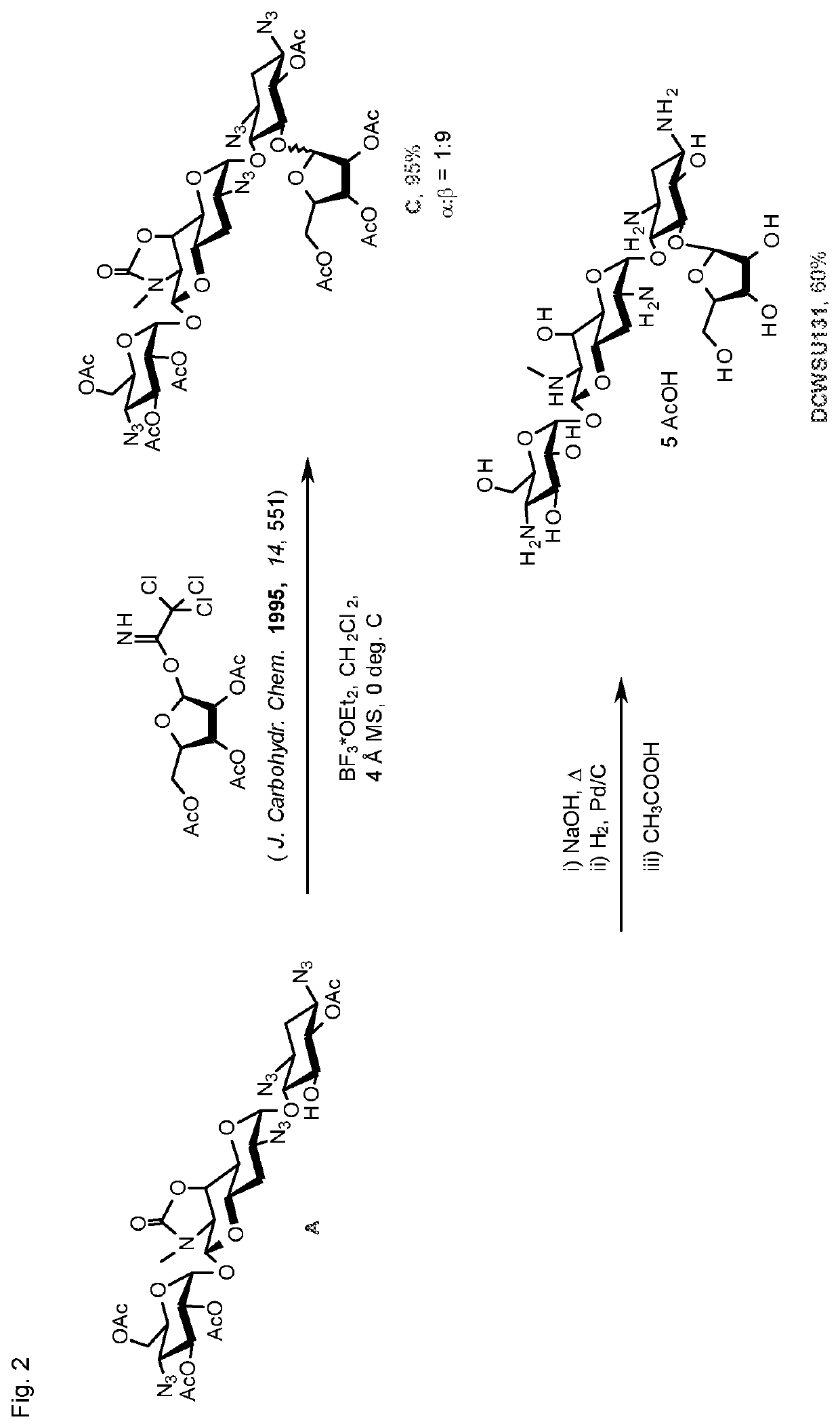 Apramycin derivatives