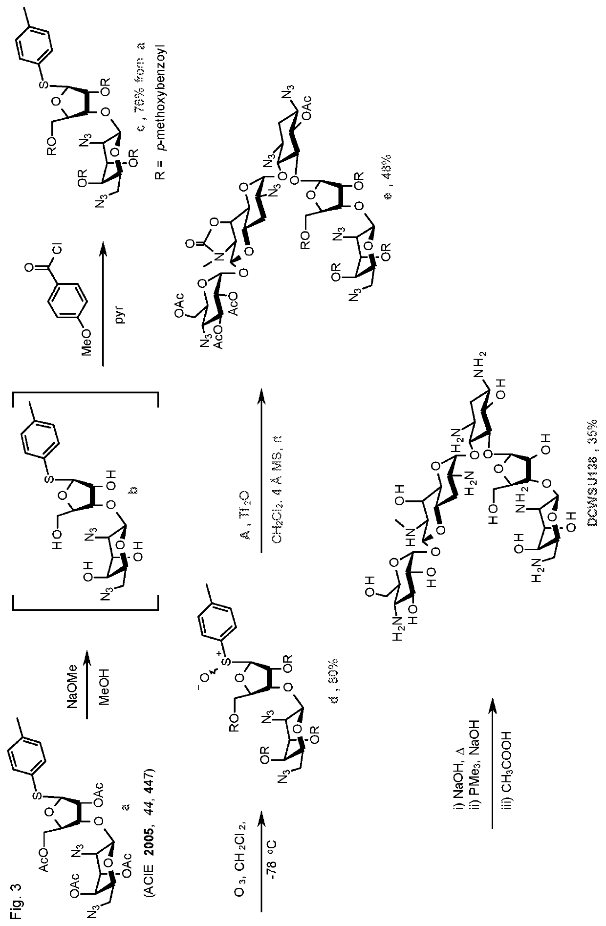 Apramycin derivatives