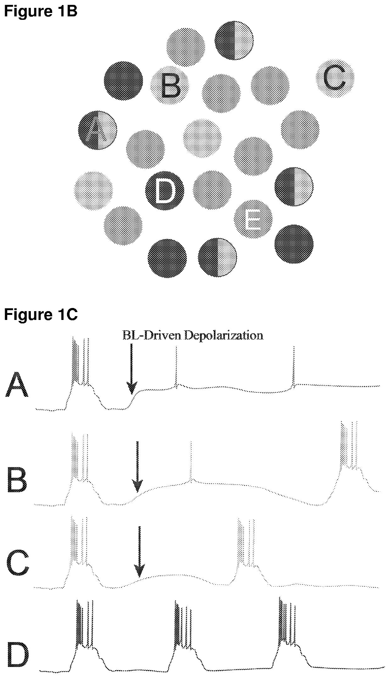 Minimally-invasive and activity-dependent control of excitable cells