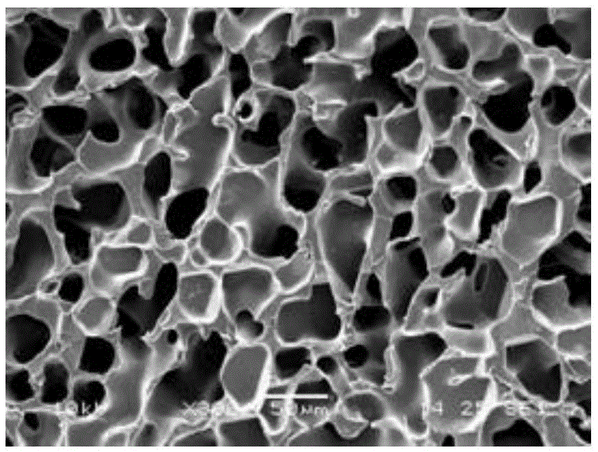 Butyl rubber composite gel oil-absorbing material and preparation method thereof