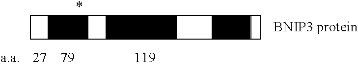 Methods for detecting cancer and monitoring cancer progression