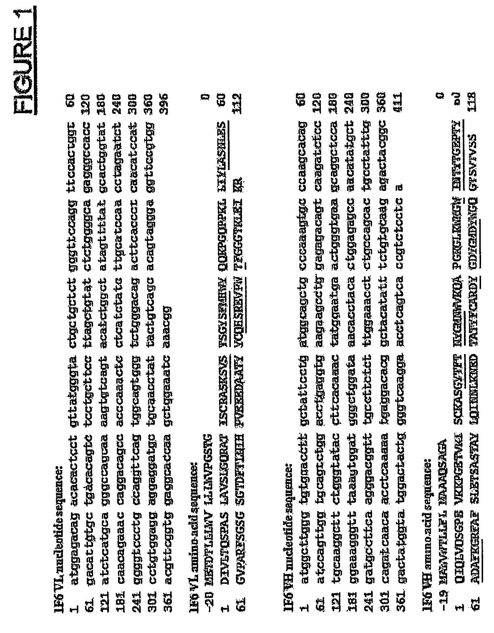 Anti-cd70 antibody-drug conjugates and their use for the treatment of cancer and immune disorders