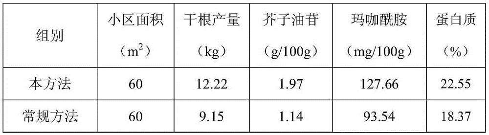 Maca cultivation method