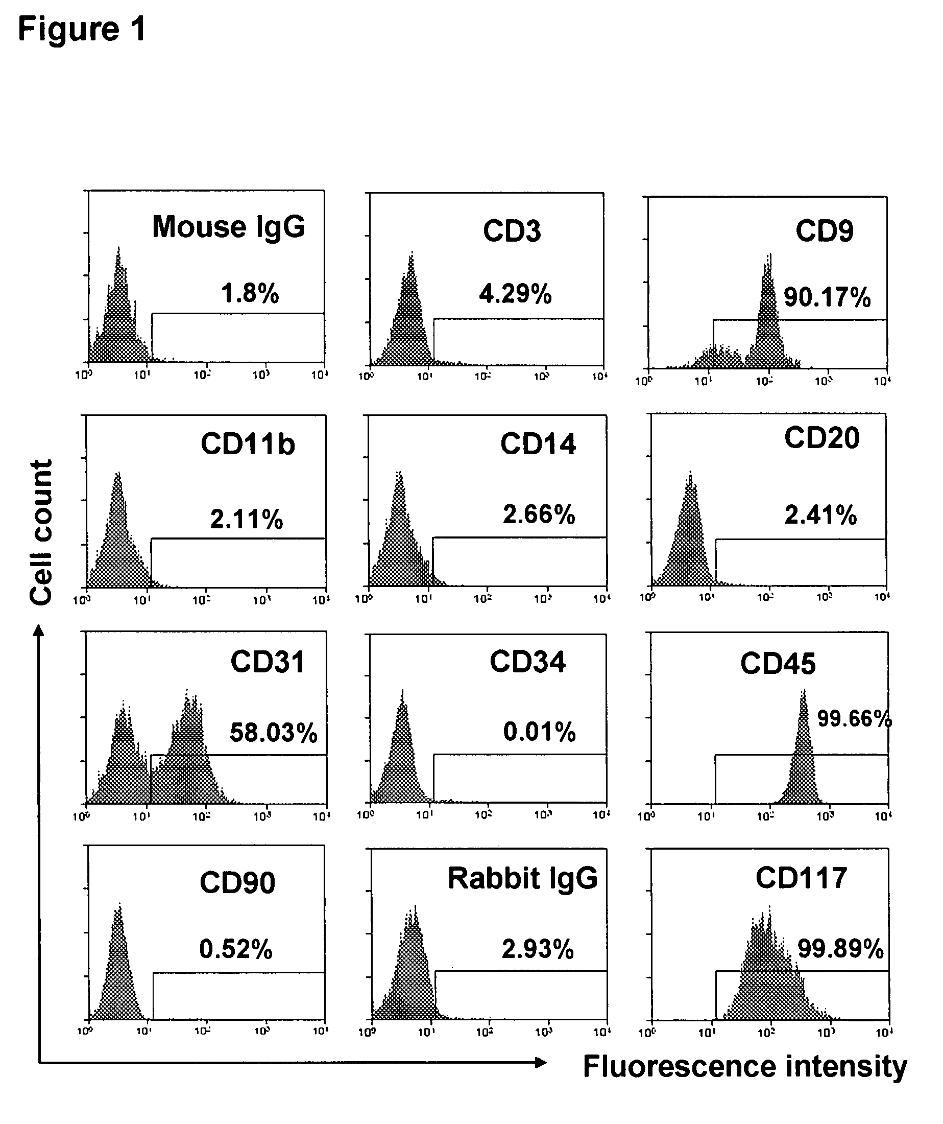 Embryonic-like stem cells derived from adult human peripheral blood and methods of use