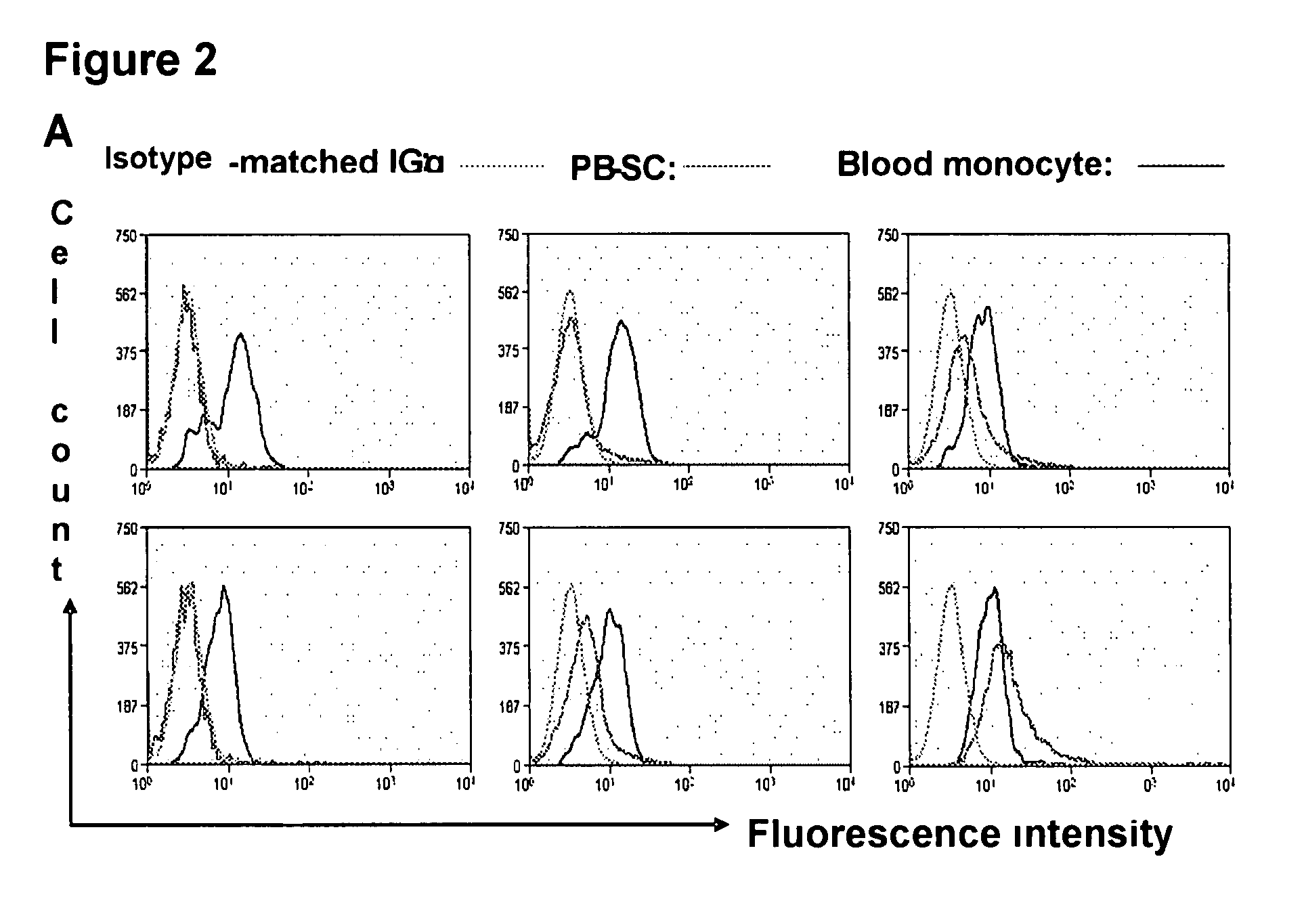 Embryonic-like stem cells derived from adult human peripheral blood and methods of use