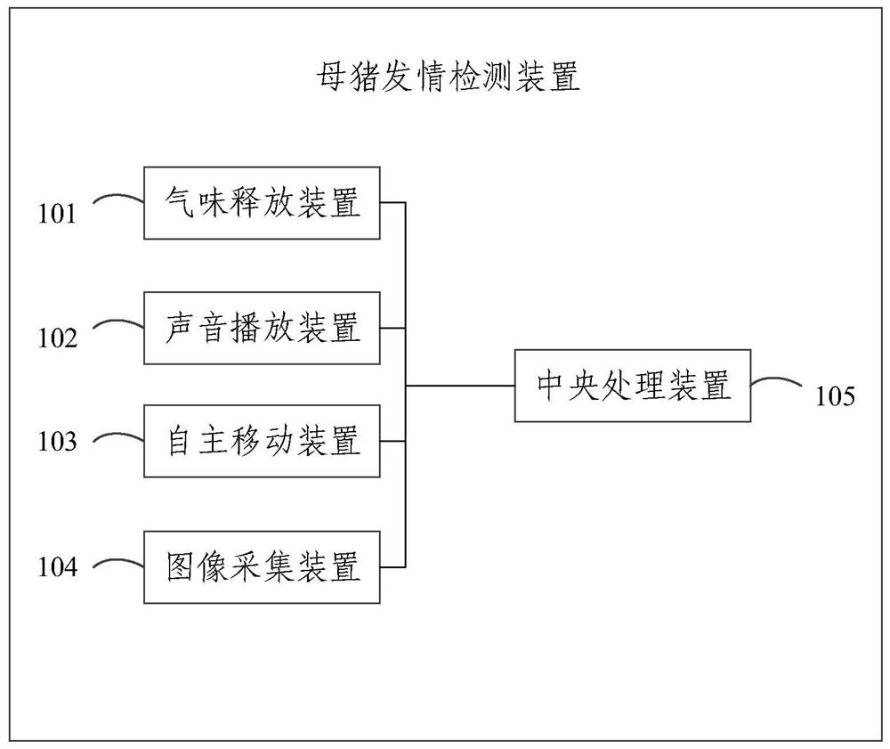 Sow estrus detection method and device