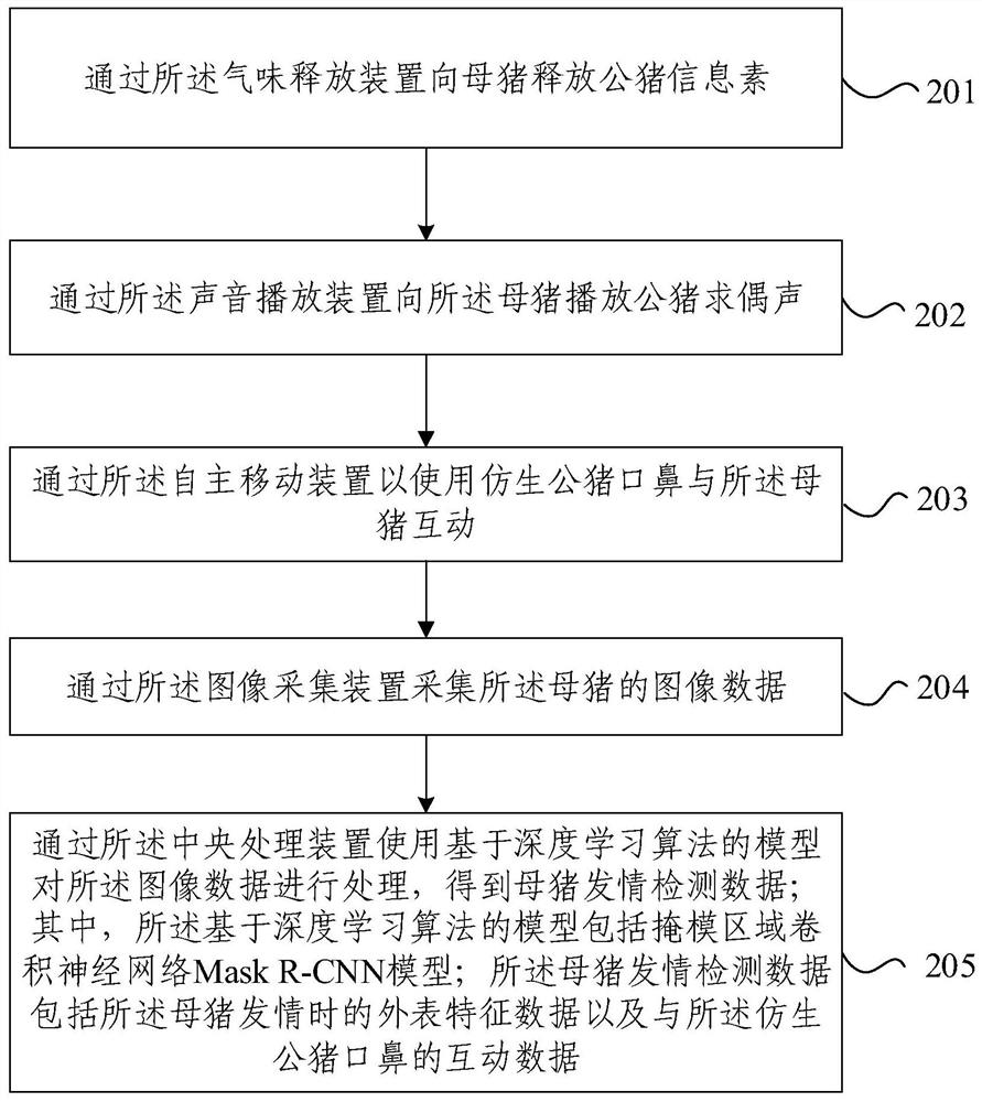 Sow estrus detection method and device