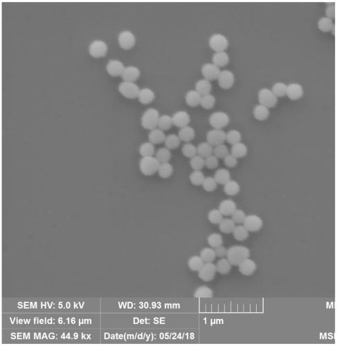 Method for grafting DNA on polydopamine nanoparticle surface with controllable density