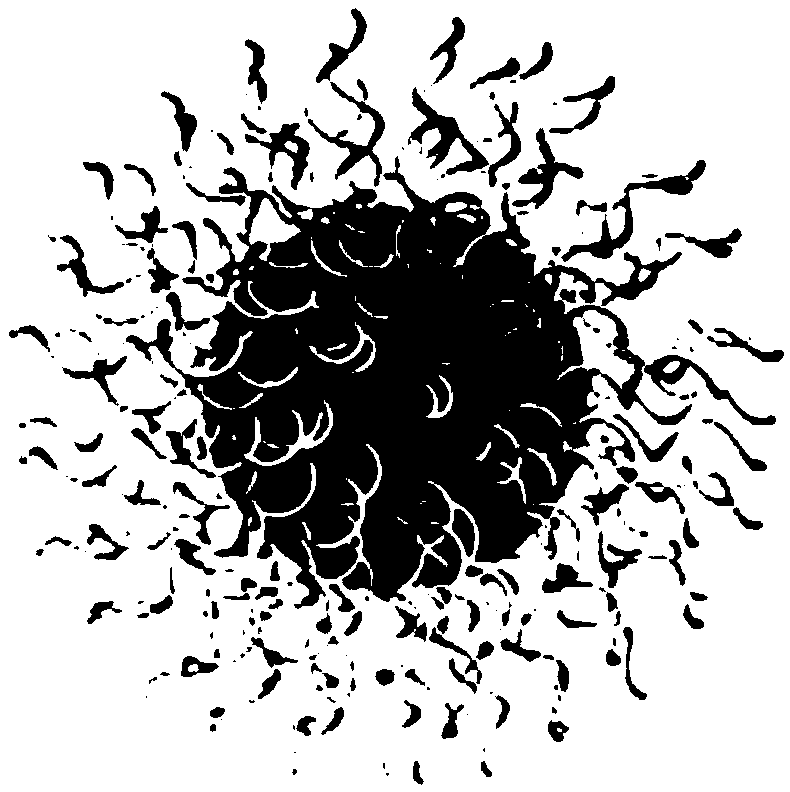 Method for grafting DNA on polydopamine nanoparticle surface with controllable density