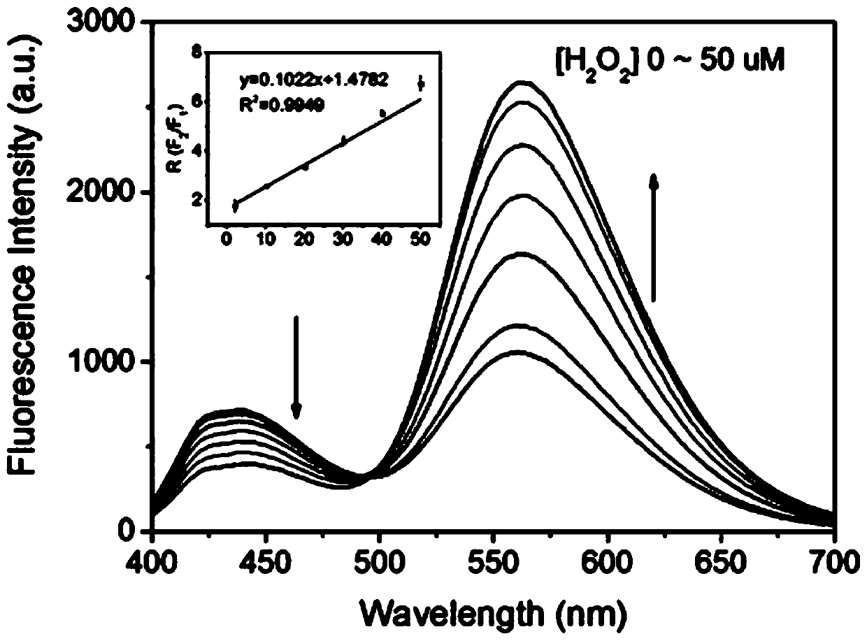 Composite nano-probe based on N-Ti&lt;3&gt;C&lt;2&gt;QDs and o-phenylenediamine oxide, and ratio fluorescence detection method thereof