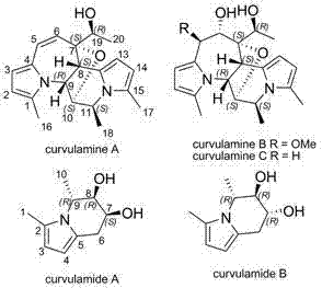 Method for preparing curvularin and indolizidine alkaloid and application