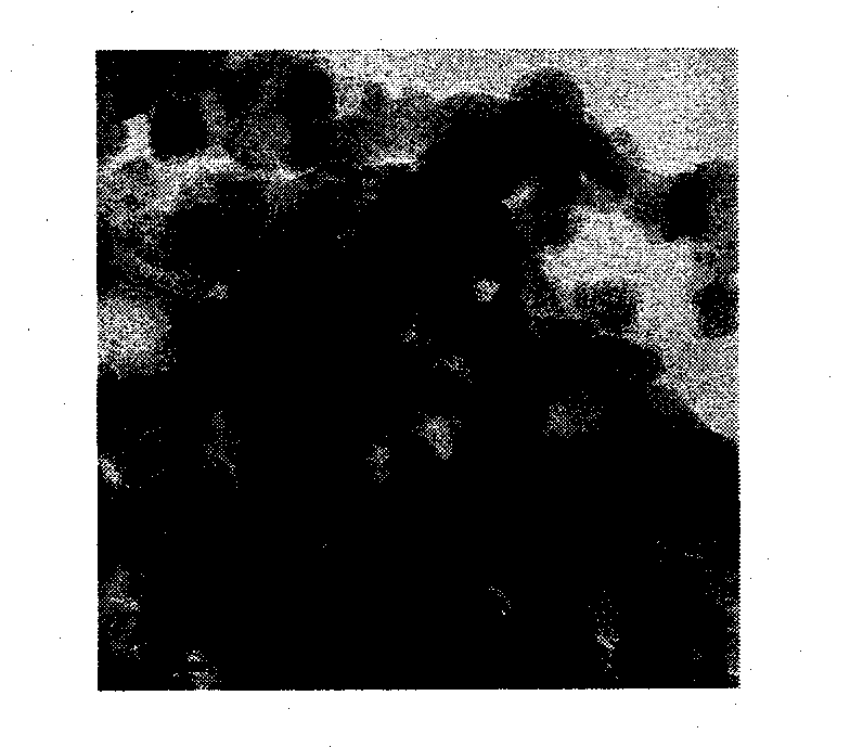 Method for preparing low dimensional manganese oxide nanometer crystal