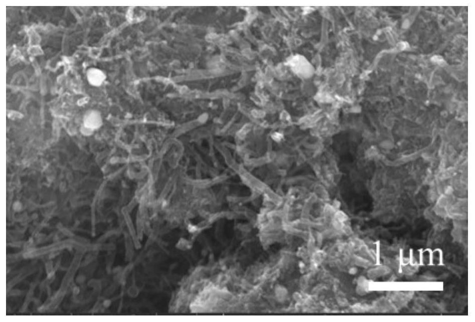 Nickel-encapsulated boron and nitrogen co-doped carbon nanotube wave-absorbing material and preparation method thereof