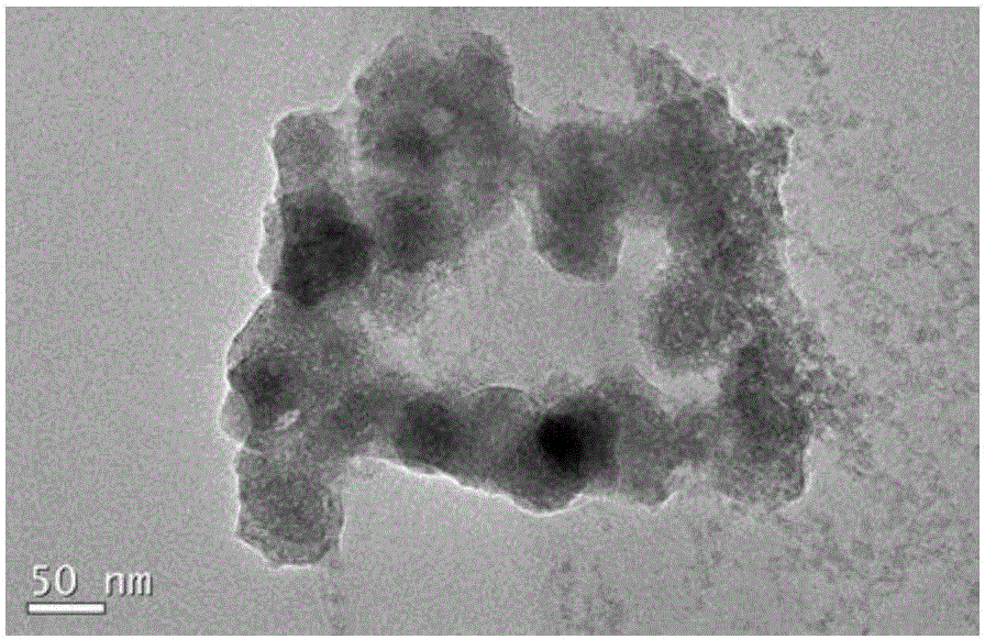 Method for extracting green synthesis nanometer zero-valent iron through shaddock peels and application