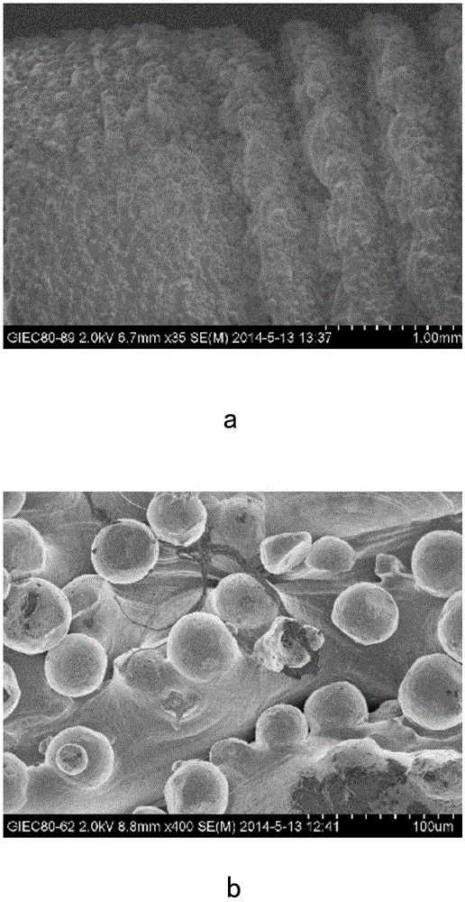 Surface treatment method for SLM molded titanium implant