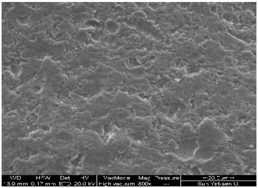 Surface treatment method for SLM molded titanium implant