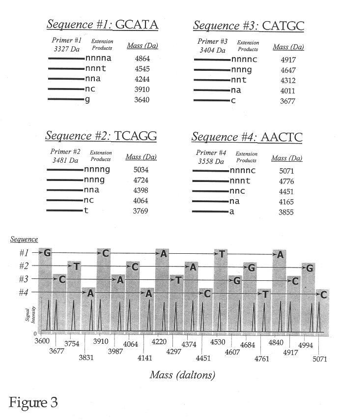 Use of nucleotide analogs in the analysis of oligonucleotide mixtures and in highly multiplexed nucleic acid sequencing