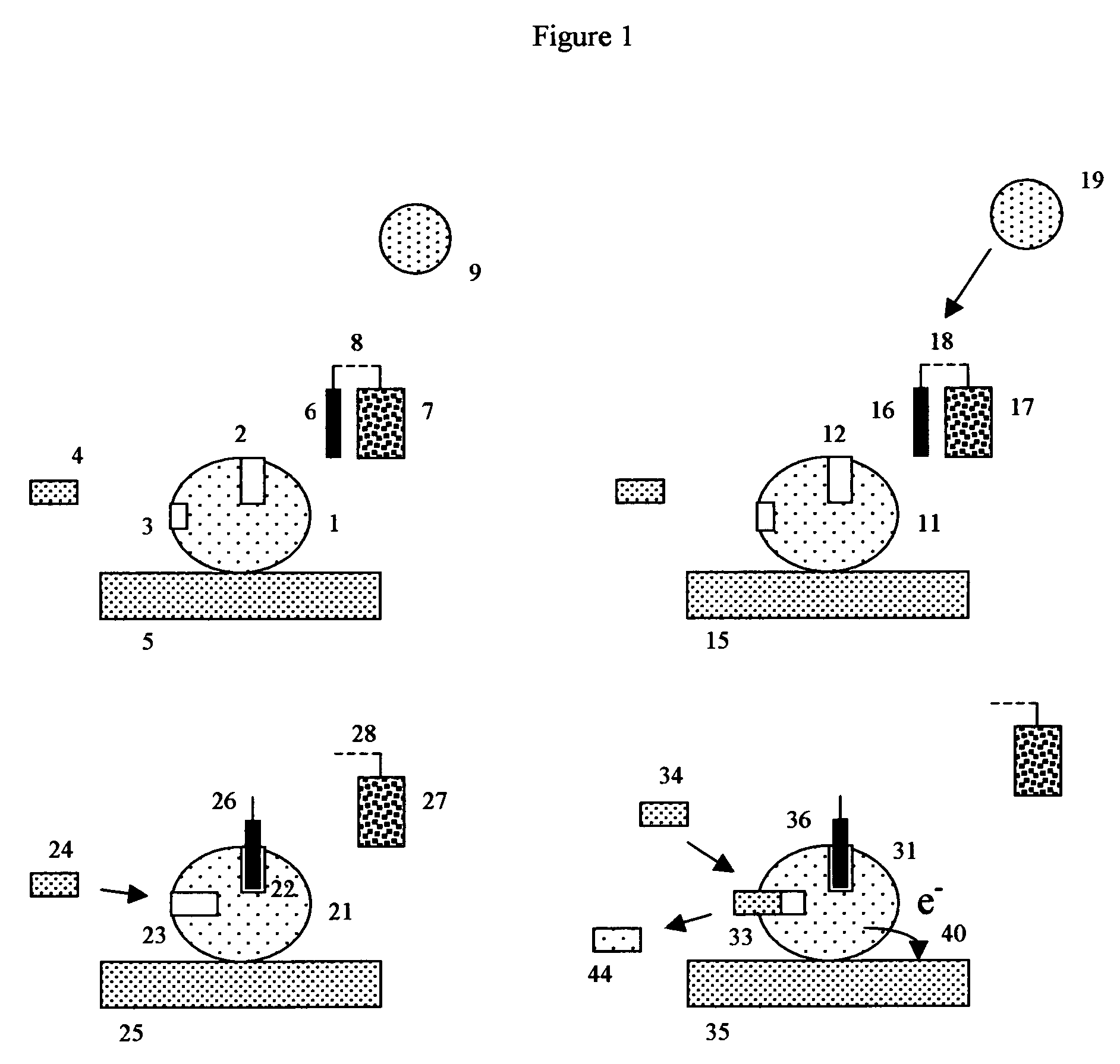 Apoenzyme reactivation electrochemical detection method and assay