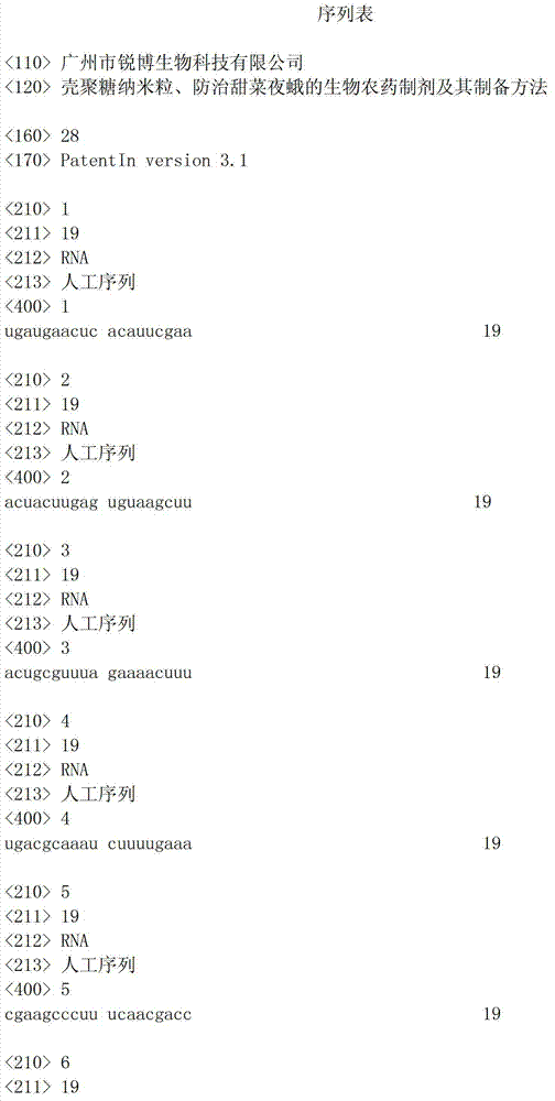 Chitosan nano particle, biological pesticide preparation for controlling beet armyworms and preparation method thereof