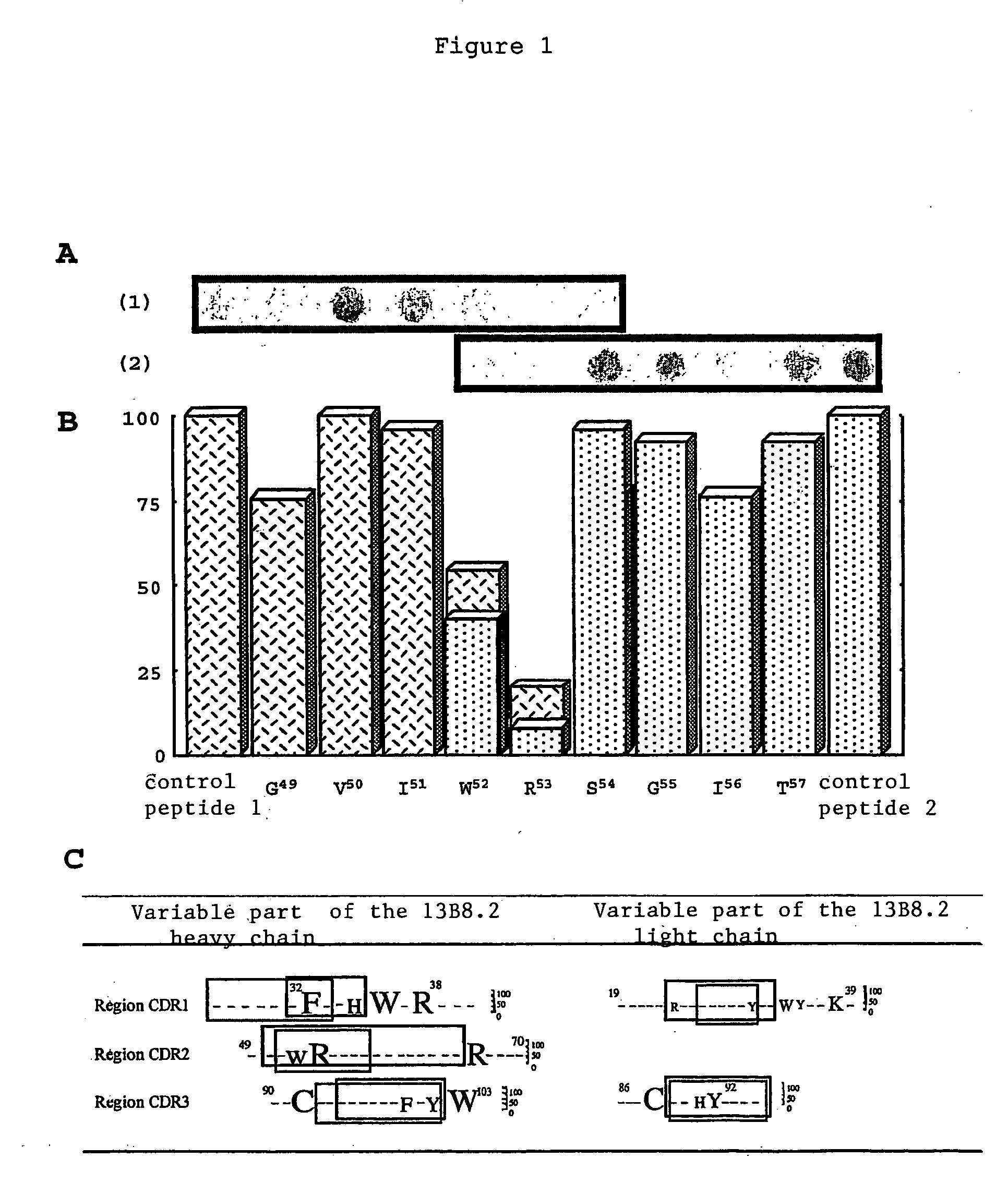 Mutant fab fragments of the chimeric 13B8.2 anti-CD4 antibody and their applications