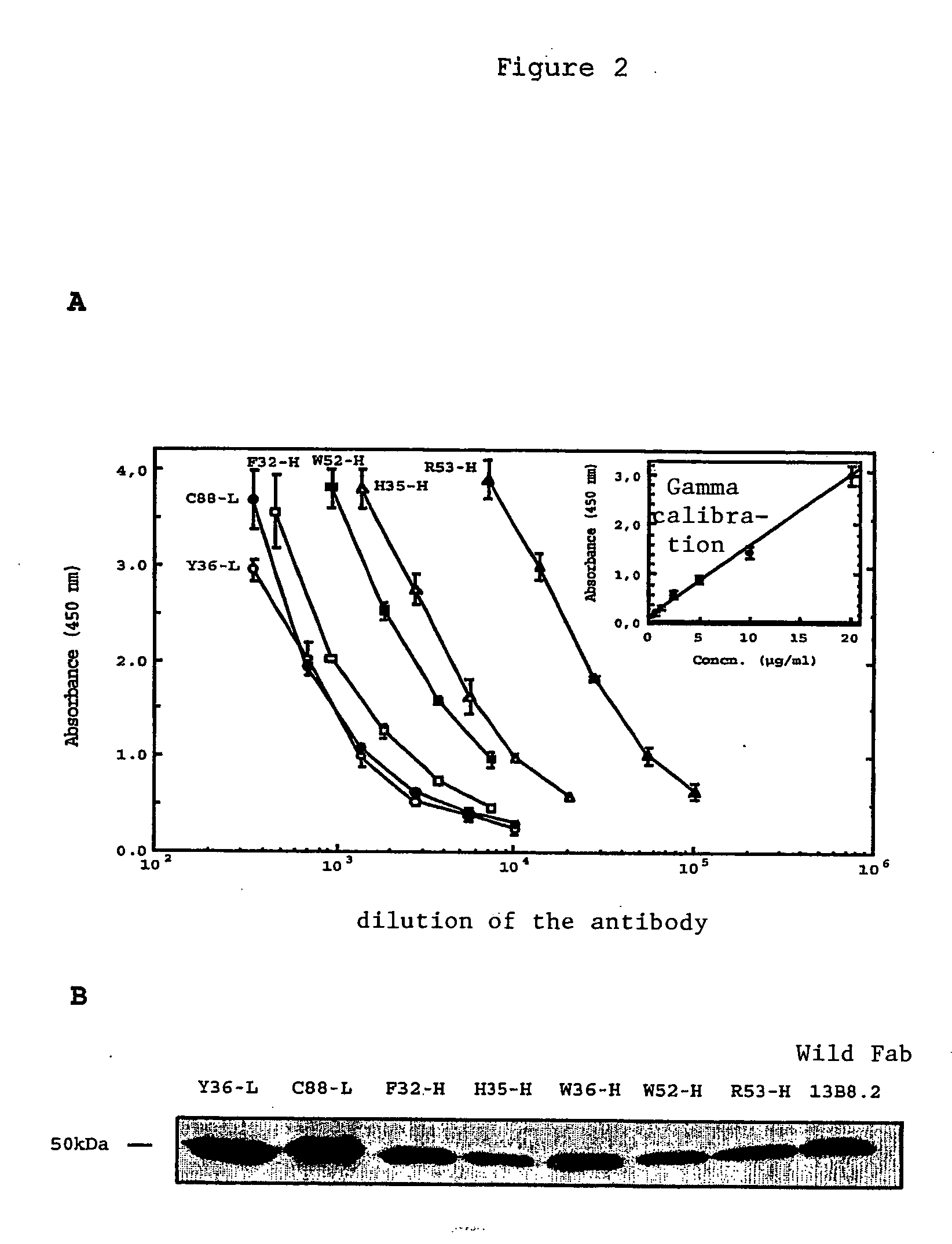 Mutant fab fragments of the chimeric 13B8.2 anti-CD4 antibody and their applications