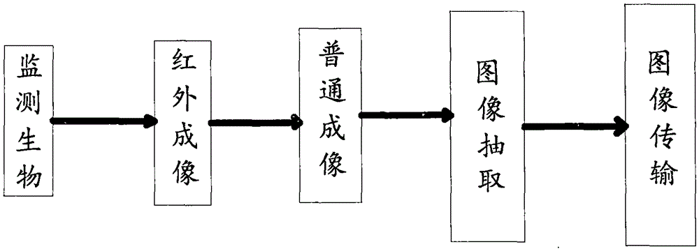 Low-traffic video communication transmission system and method