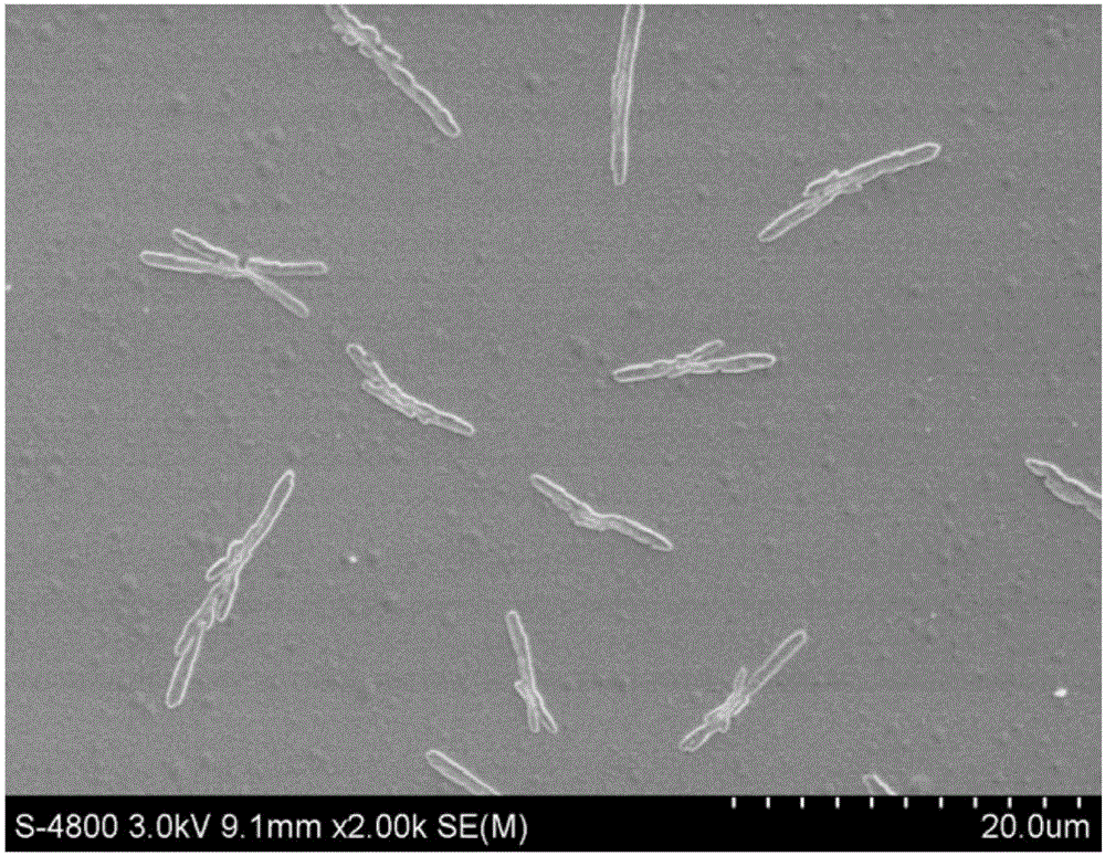 Method for dissolving fiber of natural silk