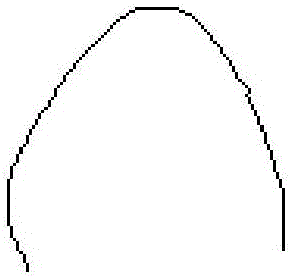 Image curve extraction method based on combination of chain code and graph theory technology