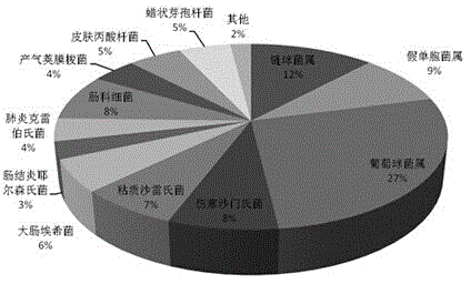 Universal type fluorescent quantitative PCR method for detecting platelet bacterial pollution