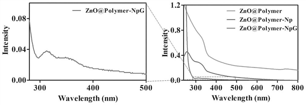 Gene transport carrier of brain-targeting zinc oxide quantum dots modified by glutathione and preparation method of gene transport carrier