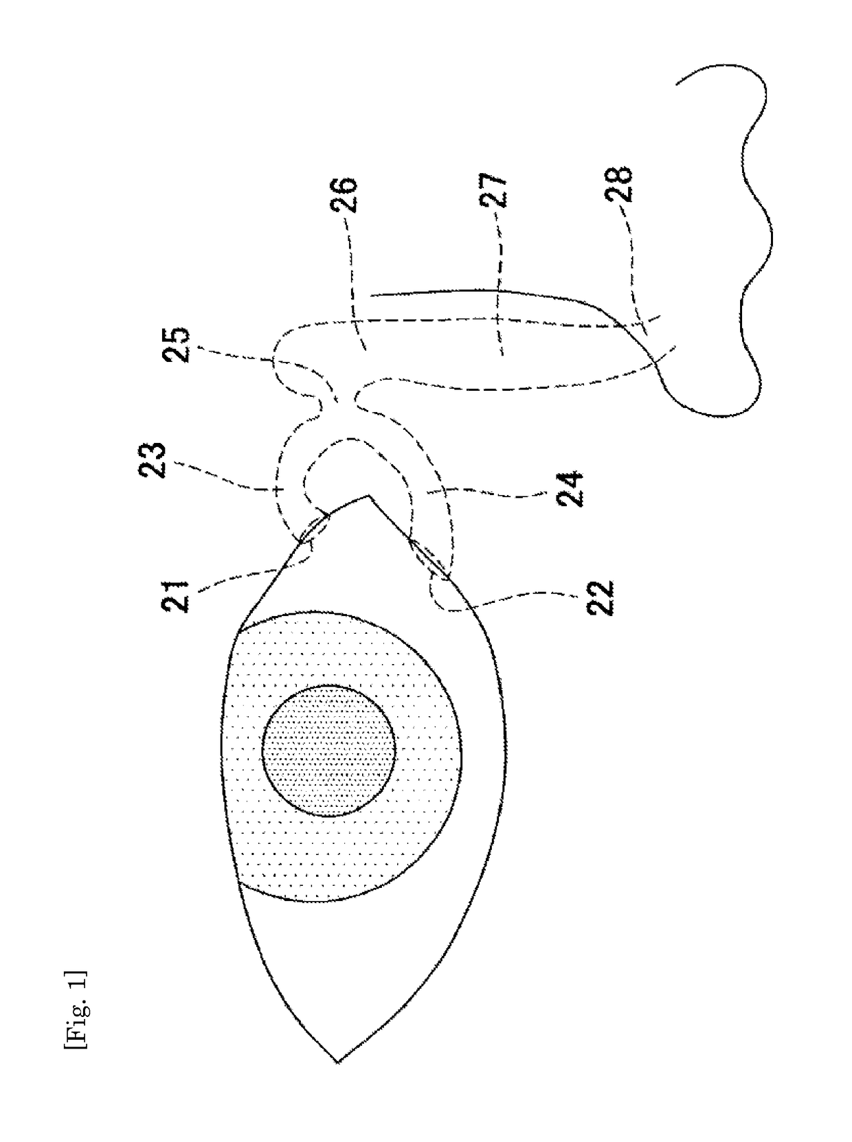 Lacrimal duct tube