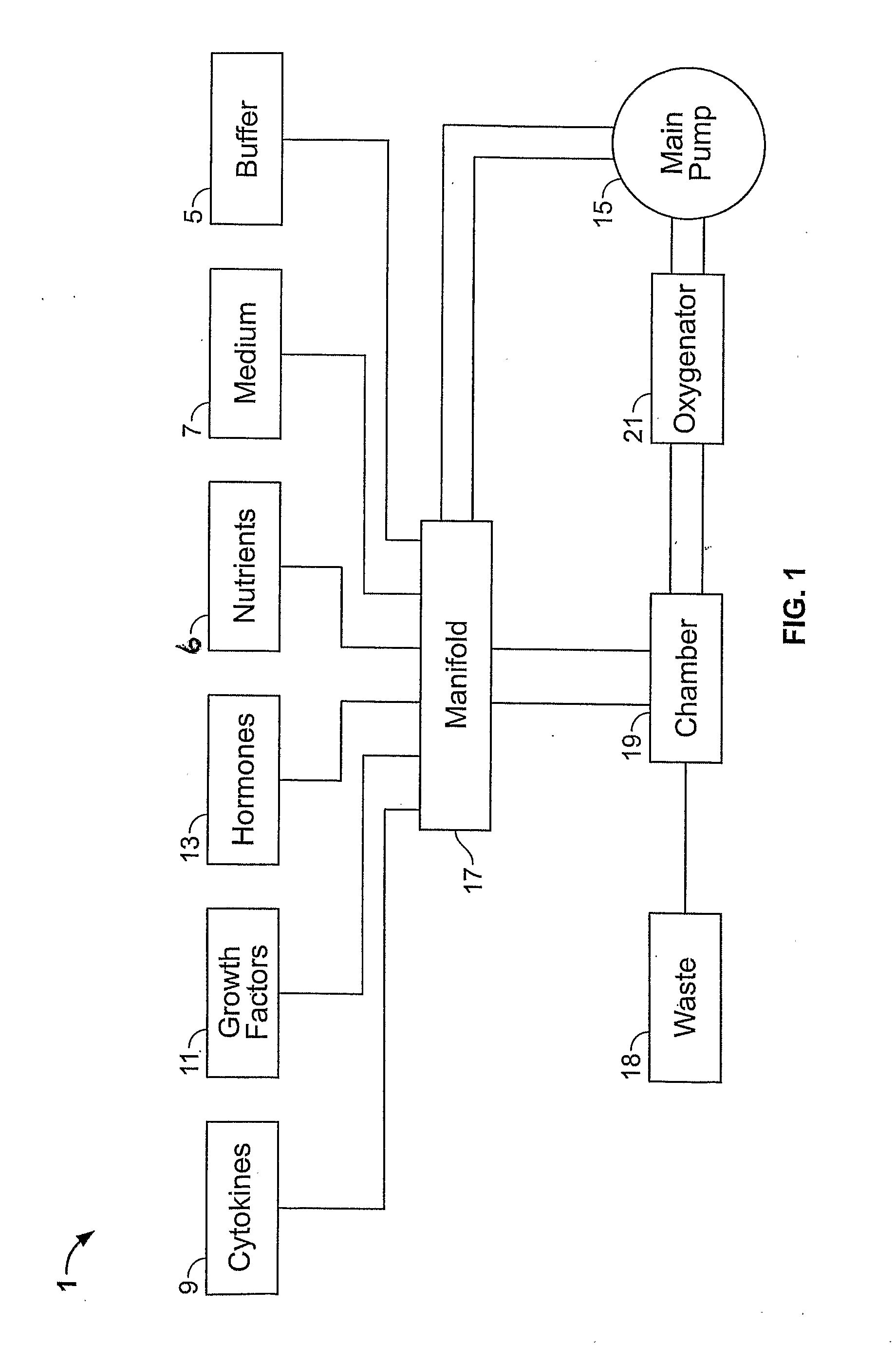 Rotatable perfused time varying electromagnetic force bioreactor and method of using the same