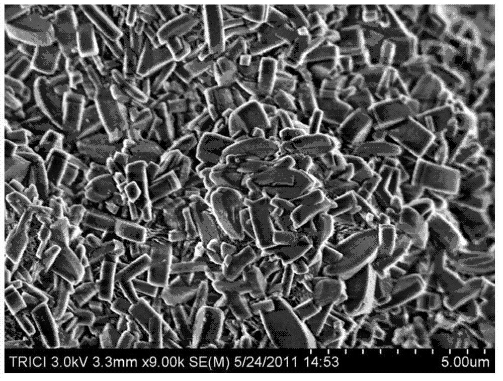 Method for synthesizing silicoaluminophosphate molecular sieve SAPO-11 at normal pressure