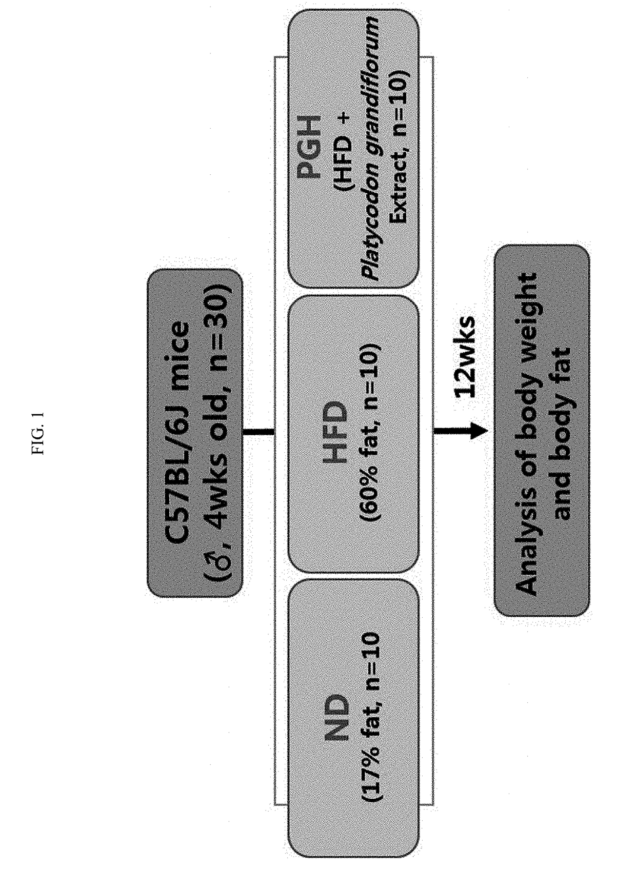 Pharmaceutical composition comprising an extract of platycodon grandiflorum and method for preventing or treating of obesity using the same