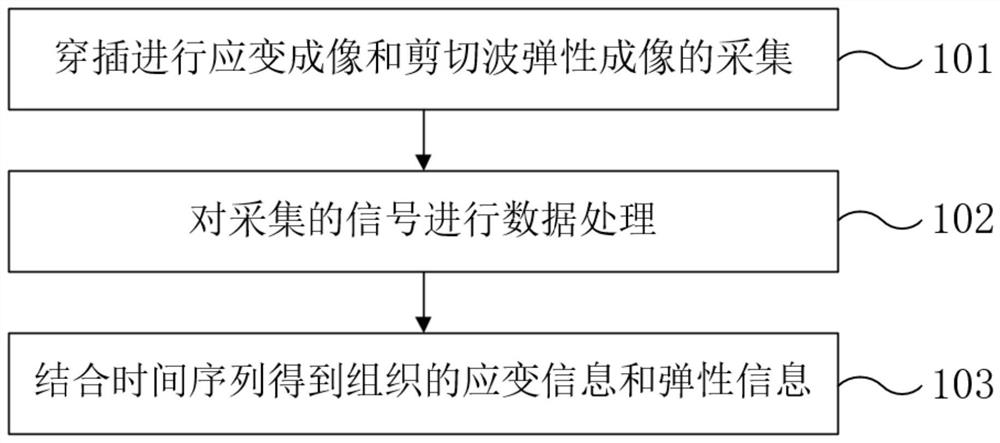 Multi-mode ultrasonic elastography method and system