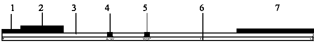 Preparation method and application of nucleic acid lateral flow test strip for detecting cronobacter sakazakii