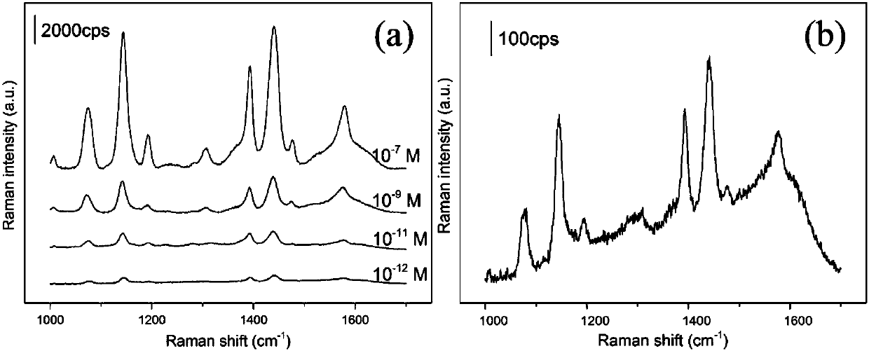 Polycarbonate/silver composite surface-enhanced Raman substrate and preparation method