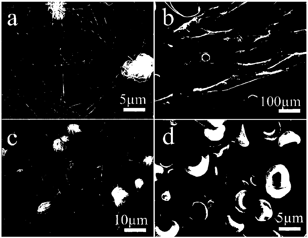 Polycarbonate/silver composite surface-enhanced Raman substrate and preparation method