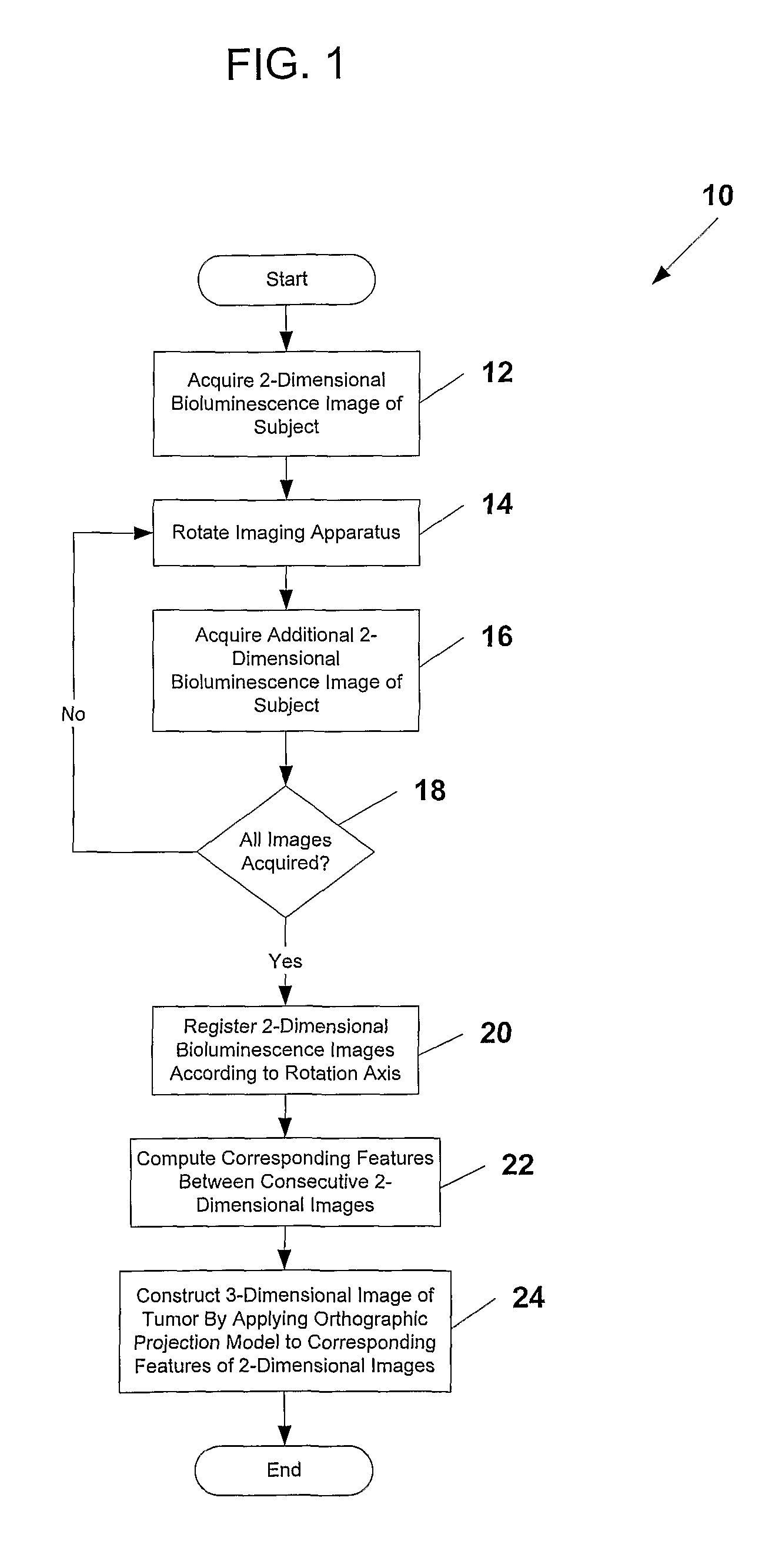 System and methods for generating three-dimensional images from two-dimensional bioluminescence images and visualizing tumor shapes and locations