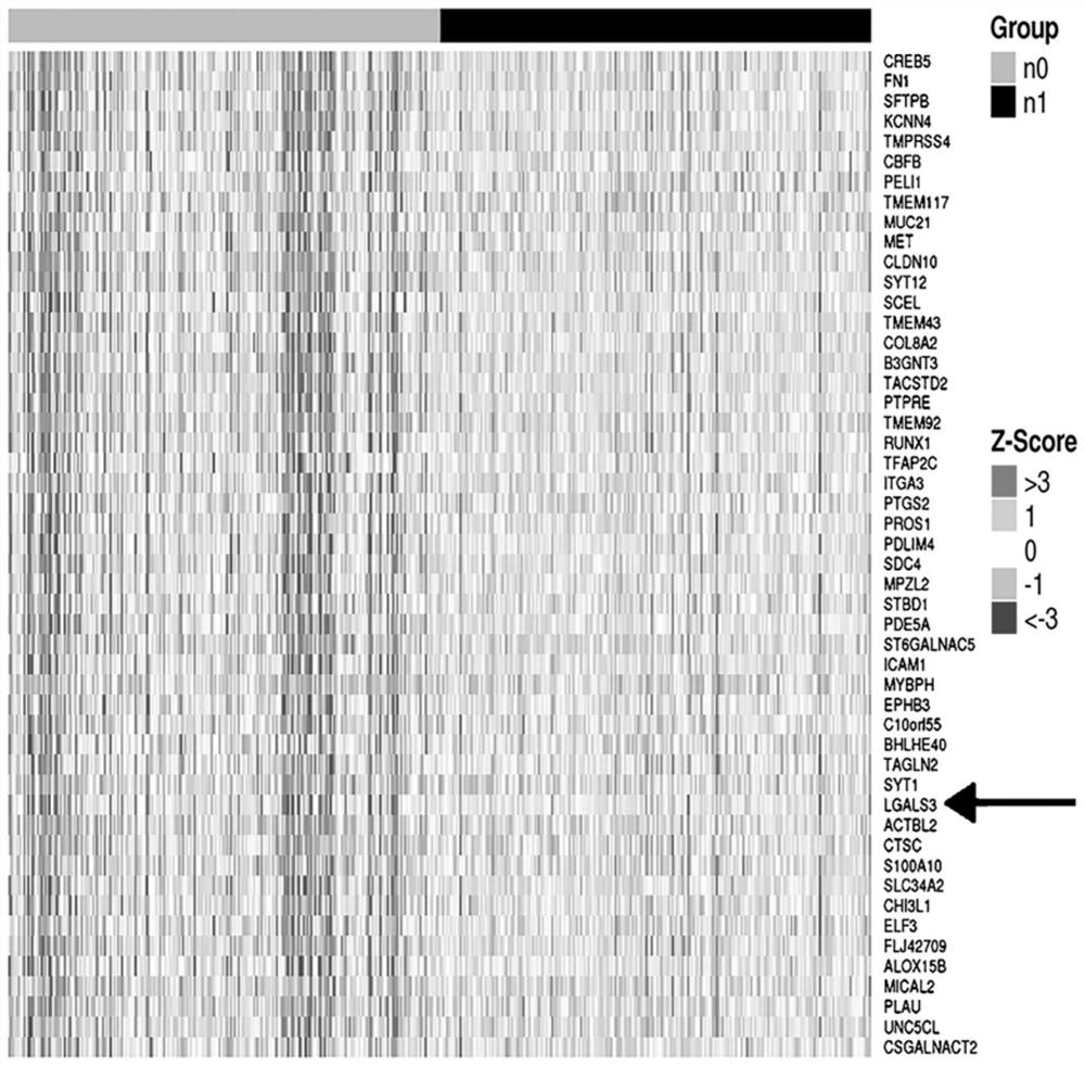 Liquid biopsy kit for diagnosis of lymph node metastasis in papillary thyroid carcinoma