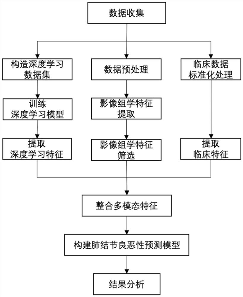 Pulmonary nodule benign and malignant prediction method and device