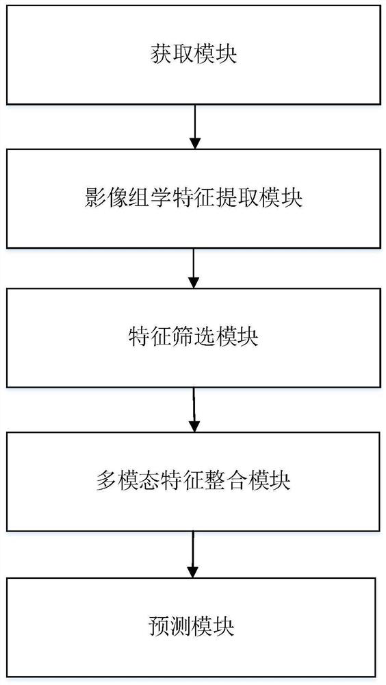 Pulmonary nodule benign and malignant prediction method and device